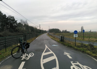 F11 variety of markers and signs