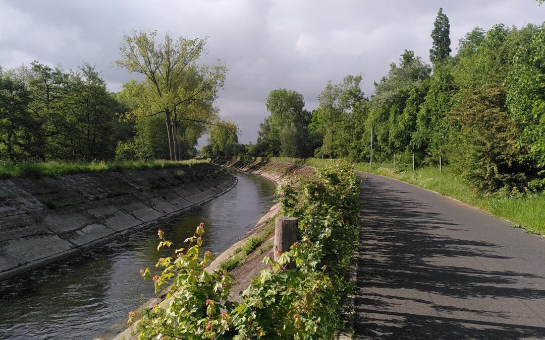 F1: Antwerp – Brussels