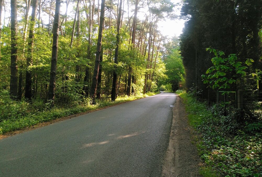 Into the Kempen